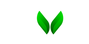 Biva Nutrition Logo - Dark BG