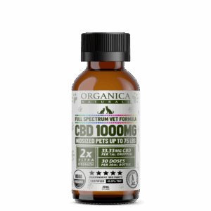 1000 mg CBD Oil for Medium-Sized Dogs | Organic Veterinary Wholesale