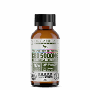 Wholesale Organic 5000 mg Full Spectrum Horse CBD Oil Tincture