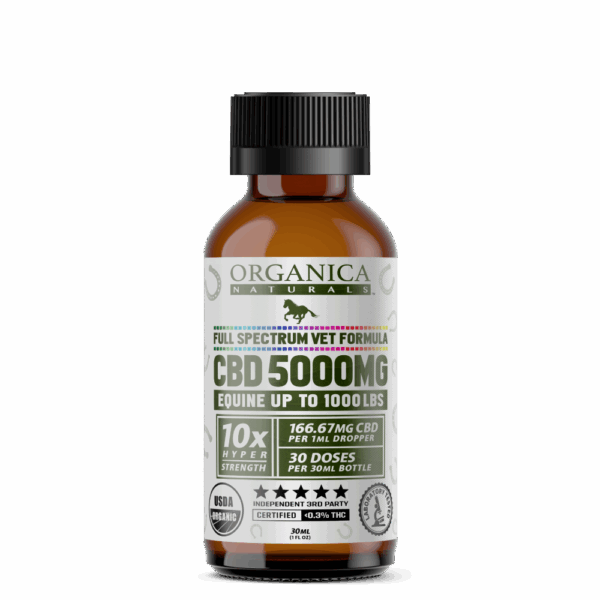 5000 mg Horse CBD Oil Tincture | Organic Veterinary Wholesale