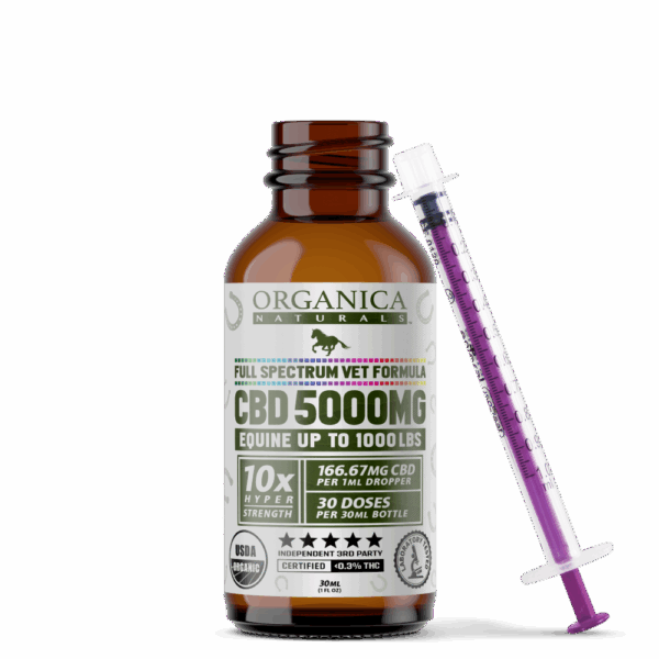 5000 mg Horse CBD Oil Tincture | Organic Veterinary Wholesale - Image 4